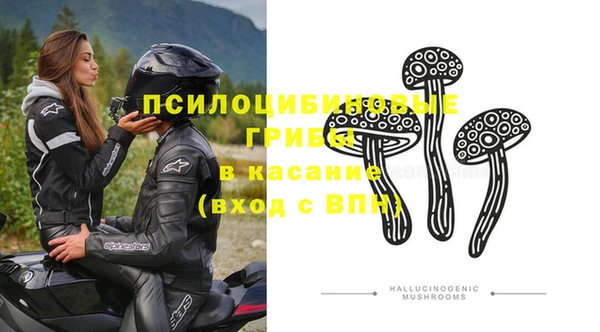 мдпв Алексин